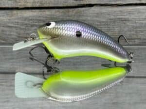 Black Label Speedy Balsa