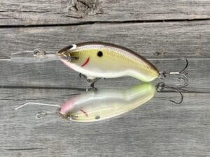 Black Label Tapout Jr Balsa