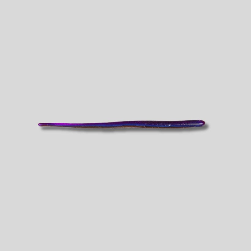 Roboworm 6 inch Straight Tail Finesse Worm 10 Pack soft plastic bass fishing lure
