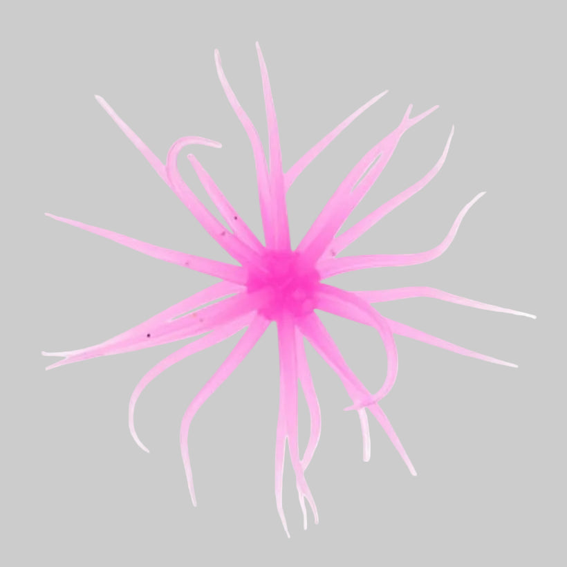 Queen Tackle Porcupine Ball 20mm finesse urchin bait for forward-facing sonar and jig head fishing