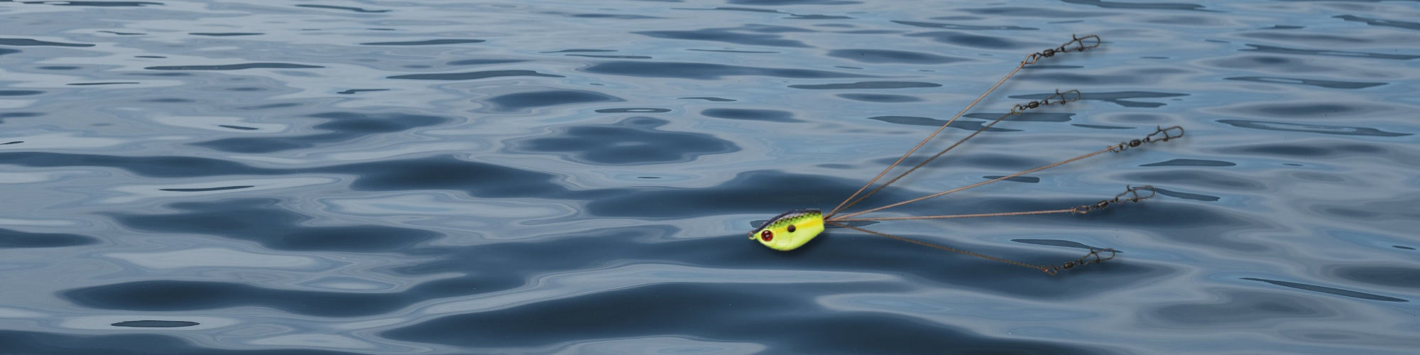 Umbrella rigs for bass fishing with multiple arms and swimbait presentation