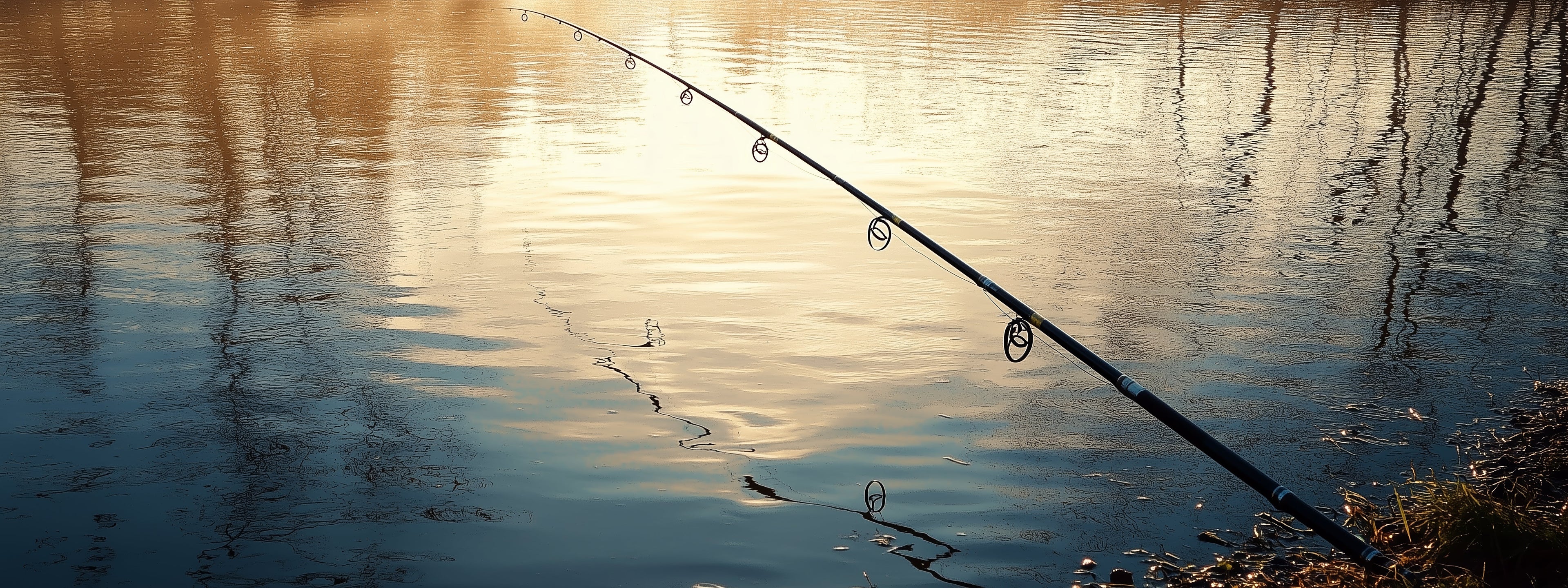 Fishing Rods