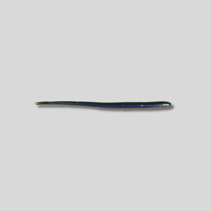 Roboworm 6 inch Straight Tail Finesse Worm 10 Pack soft plastic bass fishing lure