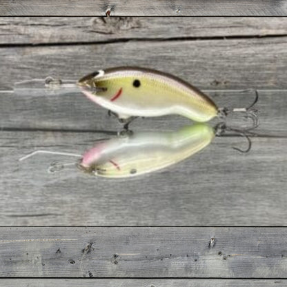 Black Label Tapout Jr balsa crankbait with coffin bill for deep diving bass fishing