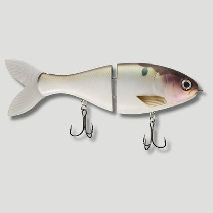 Gizzard Magic - Bucca Brand Trick Shad