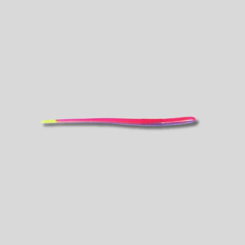 Roboworm 6 inch Straight Tail Finesse Worm 10 Pack soft plastic bass fishing lure