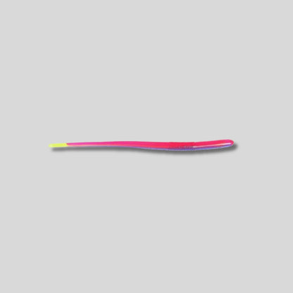 Roboworm 6 inch Straight Tail Finesse Worm 10 Pack soft plastic bass fishing lure