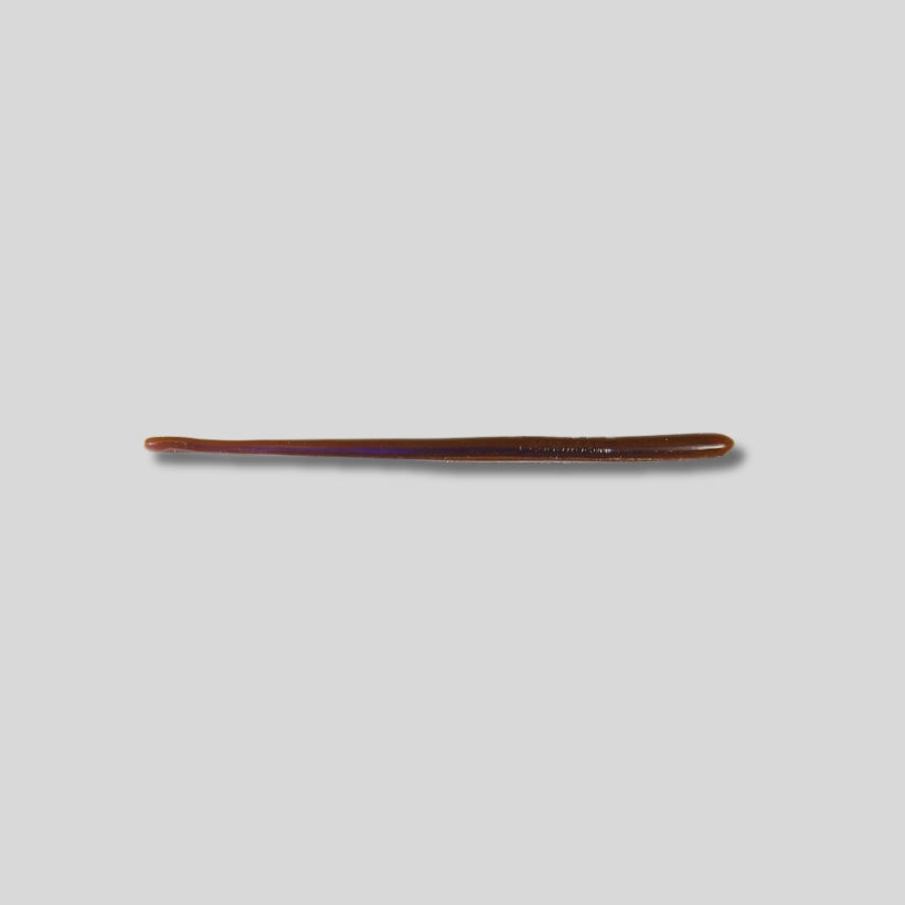 Roboworm 6 inch Straight Tail Finesse Worm 10 Pack soft plastic bass fishing lure