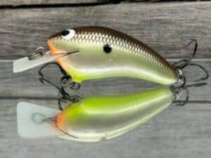 Black Label Speedy Balsa