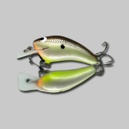 Black Label Speedy Balsa